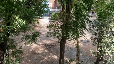 दुर्दशा का शिकार केडीए पार्क।