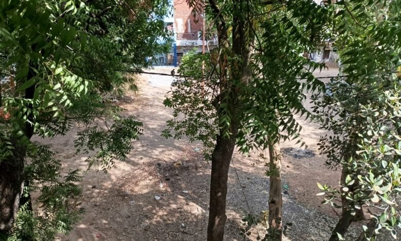 दुर्दशा का शिकार केडीए पार्क।